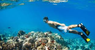 May 25, 2021 · hotels near ko'olina beach park; Best Snorkeling On Oahu Places To Snorkel Near Honolulu Thrillist