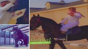 الخيل من خيالها أسامه ماشاء الله تبارك الله animals horses