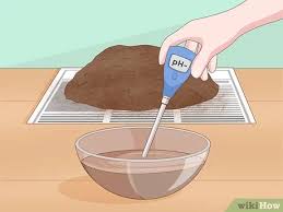 When you need a quick fix for high soil ph, you can use two tablespoons of vinegar per one gallon of water and pour it around the base of your plants once a week. How To Lower Soil Ph With Pictures Wikihow