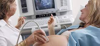 Gut 2,5 zentimeter ist der fötus jetzt groß. Organscreening Oder Basis Ultraschall Baby Und Familie