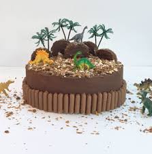 Are You Interested In Our Birthday Cake Kit With Our Dinosaur Cake Kit For Birthdays You Nee Dinosaur Birthday Cakes Country Birthday Cakes Boy Birthday Cake