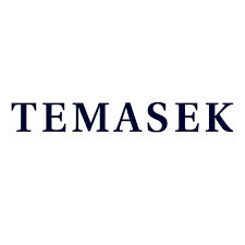 Temasek is an investment company with a focus on delivering sustainable returns over the long term. Temasek E Spin Group