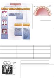 Cara buat video pengajaran atau nota pdpr melalui canva. Nota Tahun 3 Sains Kssr Pdf Txt