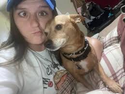 8 before 8:00. Another good hunt in the Mississippi Outdoors.