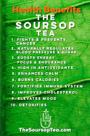 4oz Soursop Tea Powder Matcha 70 Servings Cancer Prevention Health Benefit