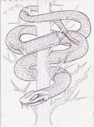 Image Result For Wrapped Snake Drawing Snake Drawing Tree Drawing Tree Art