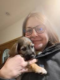 Clarence” made it home to Indiana!