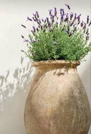 Leinen Und Lavendel Garden In 2020 Lavendel Pflanzen Gartencontainer