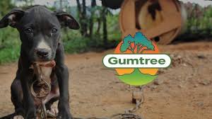 Free pets playdough mats | free homeschool deals ©. Petition Ban Free Animals On Gumtree Change Org
