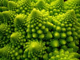 google image result for http 4 bp blogspot com eda0klcr8q8 tr1yxf1vlsi aaaaaaaachy thhsfseovau s1600 best picture motif de la nature chou romanesco fractale