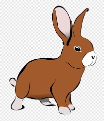 Gambar karikatur hewan dapat anda temui dalam berbagai bentuk. Kelinci Kelinci Paskah Kartun Hewan Mamalia Hewan Png Pngegg