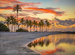 Lauderdale, and the south broward board of realtors. Miamirealestatecafes Com Real Estate South Florida