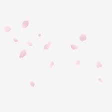 Including transparent png clip art, cartoon, icon, logo, silhouette, watercolors, outlines, etc. Spring Pink Fantasy Falling Cherry Blossom Decoration Png Free Download Cherry Blossom Cherry Tree Cherry Blossom Petal Png Transparent Clipart Image And Psd Cherry Blossom Petals Cherry Blossom Painted Floral Wreath