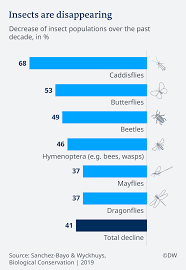 Ohio elections commission arab termite pest control. How To Stop An Insect Apocalypse Environment All Topics From Climate Change To Conservation Dw 01 03 2019