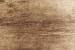 Wood Texture