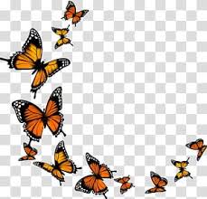 Monarch Butterfly Butterfly Transparent Background Png Clipart Butterfly Watercolor Monarch Butterflies Art Butterfly Clip Art
