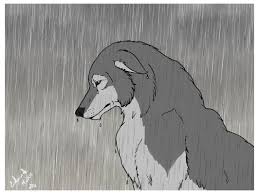Over 4,217 sad dog pictures to choose from, with no signup needed. Pin On Wolfs