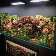 Big Arizona Style Tank It S Very Wonderful Planted Aquarium Aquascape Fish Tank