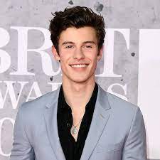 Great, they'd like you to know. Shawn Mendes Age Height Weight Net Worth 2021 Biography Career Hollywood Zam