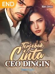 novel Cintapertama Dijodohkan Dengan Anak SMA rekomendasi novel bahasa  inggris