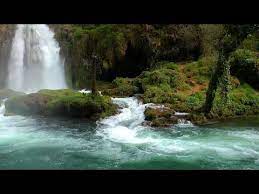 This information might be about you, your preferences or your device and is mostly used to make the site work as you expect it to. Musica Relaxante Acalmar A Mente E Relaxar Musica Relaxante Musica Para Relaxar Som De Chuva