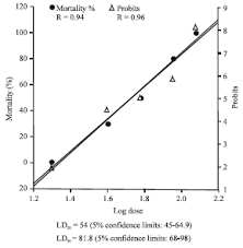 Image result for Euphorbia schimperiana