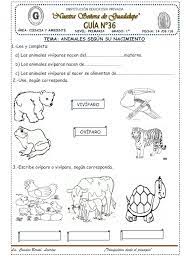 Animales Segun Su Nacimiento 36 Animales Oviparos Y Viviparos Animales Viviparos Animales Oviparos