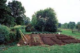 Check spelling or type a new query. 8 Steps For Making Better Garden Soil Mother Earth News