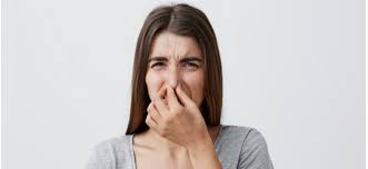 We did not find results for: Septic Tank Smell And Bad Odors Diagnosis And Cure