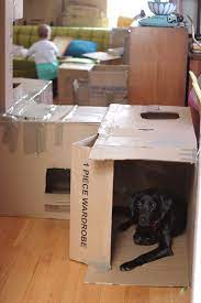 Fort Denbow Cardboard Forts Cardboard Box Fort Activities For Kids