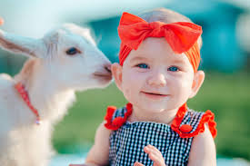 What do you think of this barn door book design for the couple's first  anniversary gift?