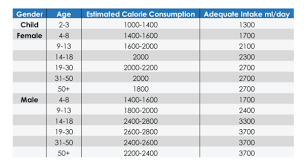 How Much And What Kind Of Water Should You Drink Primonutra