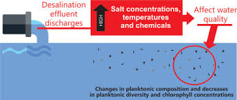 نتیجه جستجوی لغت [discharges] در گوگل
