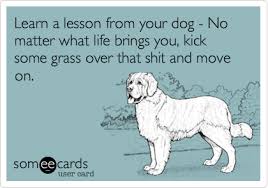 Πάρε ένα μάθημα από το σκύλο σου...