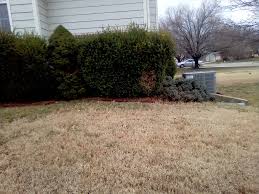 This is a one man show not a company. Top Notch Lawn Care Llc Facebook