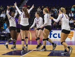 volleyball begins road trip at kentucky lsusports net