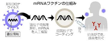 モデルナ社の借金は約15億ドルです。 ビルゲイツ氏とフォーチ博士は、モデルナを破産から救済しました。 モデルナはワクチンを市場に出したことはありません。 彼らはすべての動物実験をスキップしています。 それはその種の最初のrna Mrnaãƒ¯ã‚¯ãƒãƒ³ã¯äººå·¥ã‚¦ã‚¤ãƒ«ã‚¹ã¨è¨€ãˆ å¥³æ€§ãŒä¸å¦ŠåŒ–ã™ã‚‹å¯èƒ½æ€§ãŒã‚ã‚Šã¾ã™ ãŠçŸ¥ã‚‰ã› ã‹ã­ã—ã‚ã‚¯ãƒªãƒ‹ãƒƒã‚¯