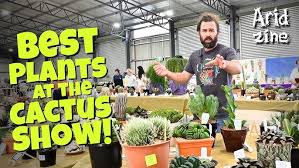 Image result for Orbea lugardii