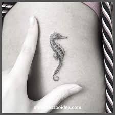 45 Small Sea Horse Tattoo Ideas Tattoo Armel Frauen Armeltatowierungen Seestern Tattoos Practical guides to create meaningful polynesian tattoos. 45 small sea horse tattoo ideas