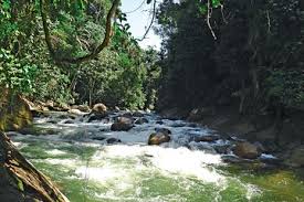 Situated in kampar, this apartment building is 1.9 mi (3.1 km) from kinta tin mining museum and 2 mi (3.2 km) from tunku abdul rahman university. Kampar River White Water Rafting Half Day Tour With Lunch 2021 Ipoh