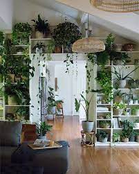 Pin Di Anhonestpuck Su Home Decor Arredare Con Le Piante Da Appartamento Arredamento Piante Da Interni Idea Di Decorazione