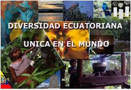 Resultado de imagen para las diversidades del ecuador