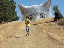 Every day we publish a new photo effects to your photos! Funny Photoshop 1 Imgur