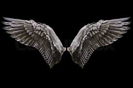 Check spelling or type a new query. Angel Wings Natural Black Wing Plumage Stock Image Colourbox