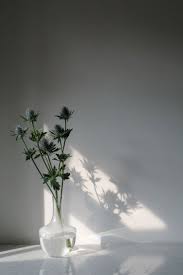 Adinda De Boer Photography Light And Shadow Photography Light And Shadow Shadow Photography