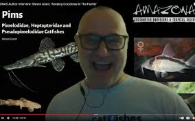 Matt Pedersen, Author at AMAZONAS Magazine