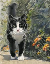 Black And White Tuxedo Cat Tuxedo Cat Art Painting Print Watercolor Portrait Realistic Realism Black White Tuxedo Cat Art Watercolor Cat Cat Art