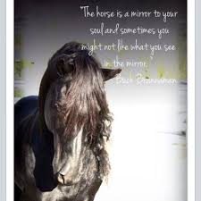 Pin By Amy Brown On Spirit Gate Farm Equine Facilitated Learning And Life Coaching Inspired By Horses Inspirational Horse Quotes Horse Quotes Horses