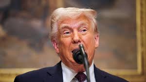 Waltz's future in doubt following accidental war plan leak