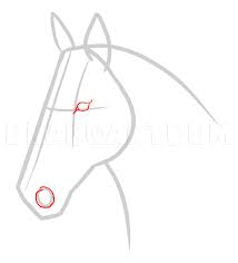 Draw another curved line from the top of the head to the withers (the highest point of a horses shoulder).this is the top line of your horse's neck. How To Draw A Race Horse Step By Step Drawing Guide By Makangeni Dragoart Com